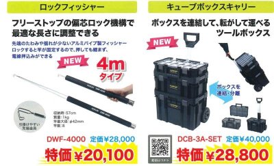 画像1: ロックフィッシャー　DWF-4000