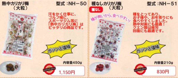 画像1: 熱中対策食品 (1)