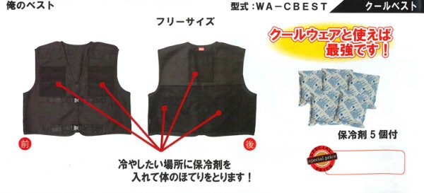 画像1: クールベスト (1)