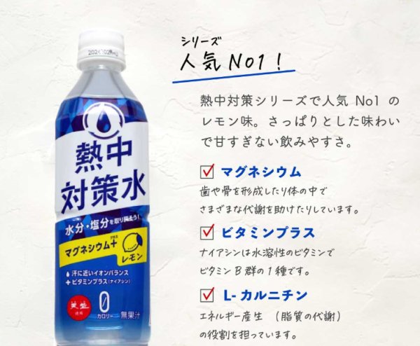 画像1: 熱中対策水 (1)