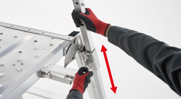 画像2: デューク (2)