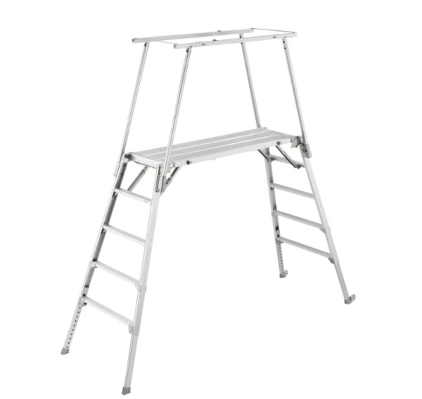 画像3: デューク (3)