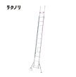 画像1: 2連はしご (1)