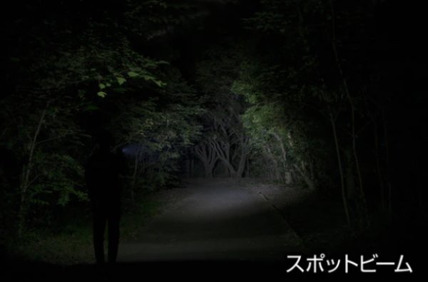 画像3: GENTOS　LEDライト (3)